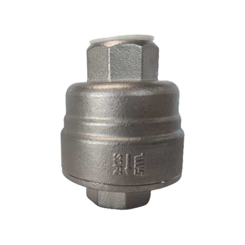 Mini Backflow Preventer
