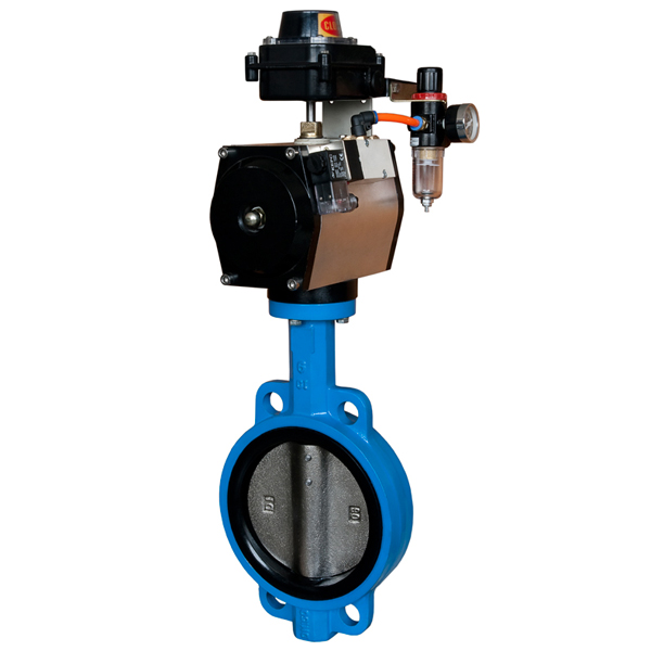 Manual Operation Valve